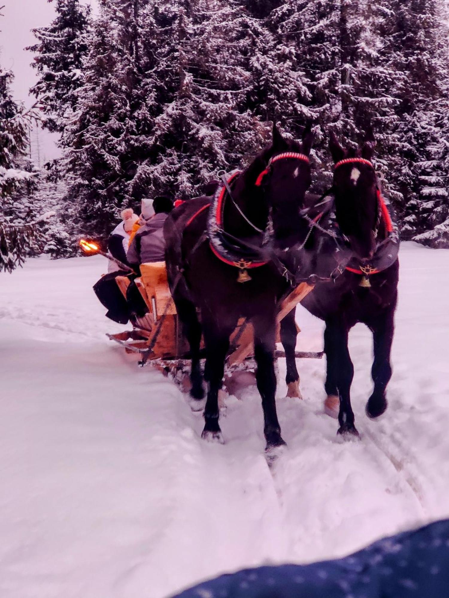 Eco Willa Karpatia Ski&Wellness Murzasichle Dış mekan fotoğraf