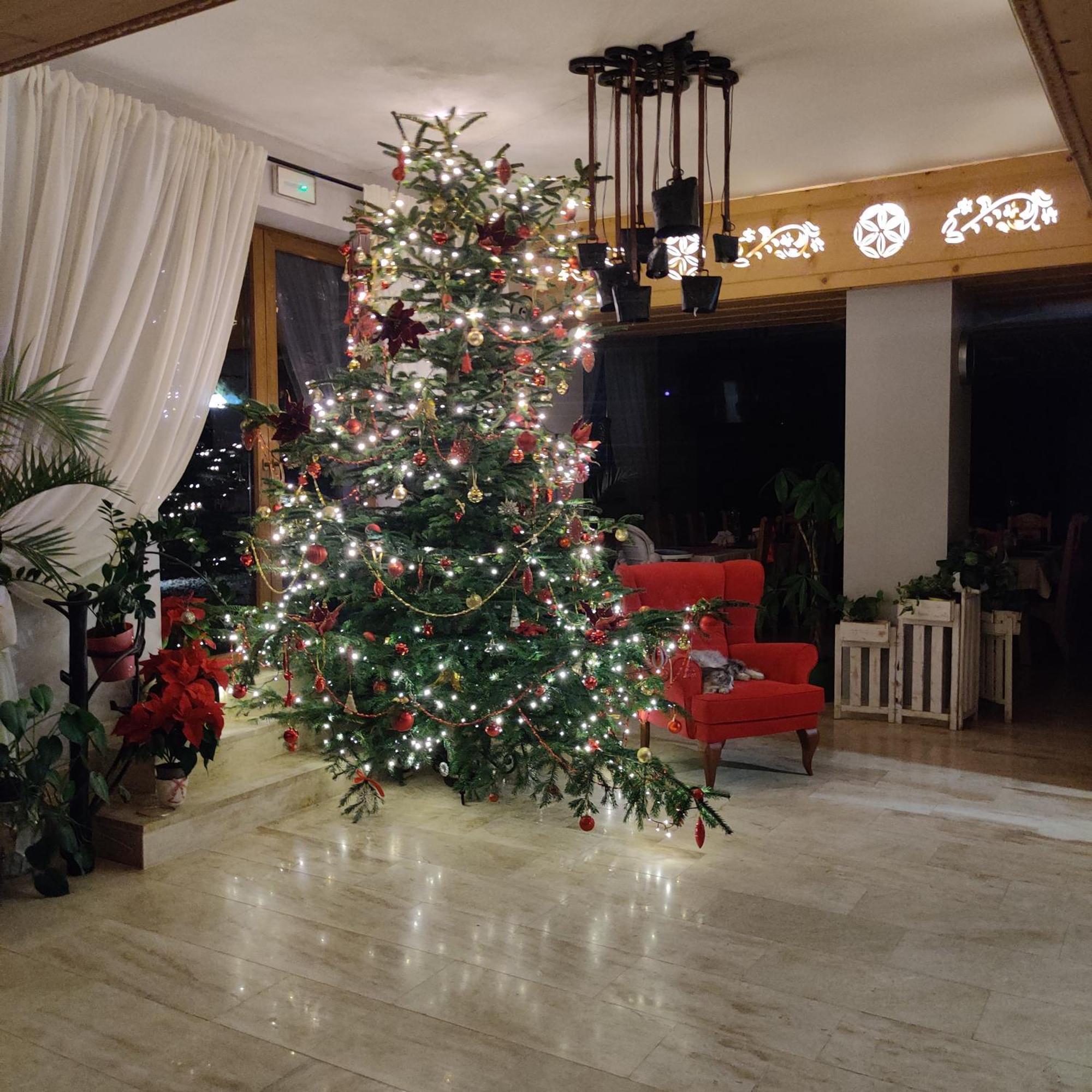 Eco Willa Karpatia Ski&Wellness Murzasichle Dış mekan fotoğraf