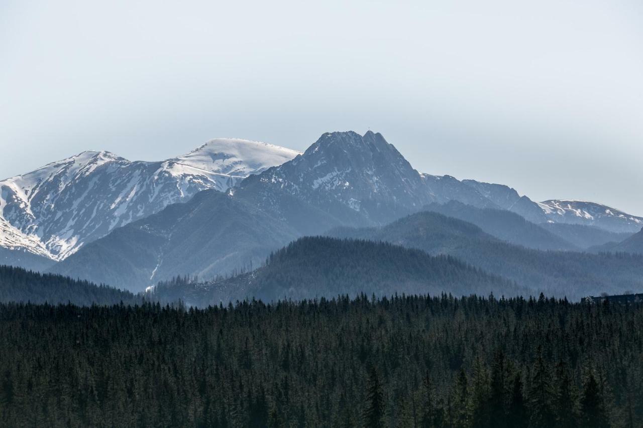 Eco Willa Karpatia Ski&Wellness Murzasichle Dış mekan fotoğraf