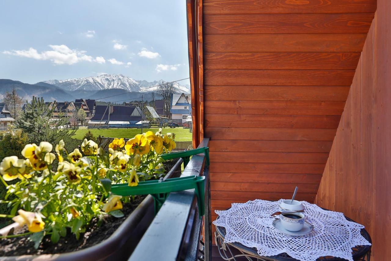 Eco Willa Karpatia Ski&Wellness Murzasichle Dış mekan fotoğraf